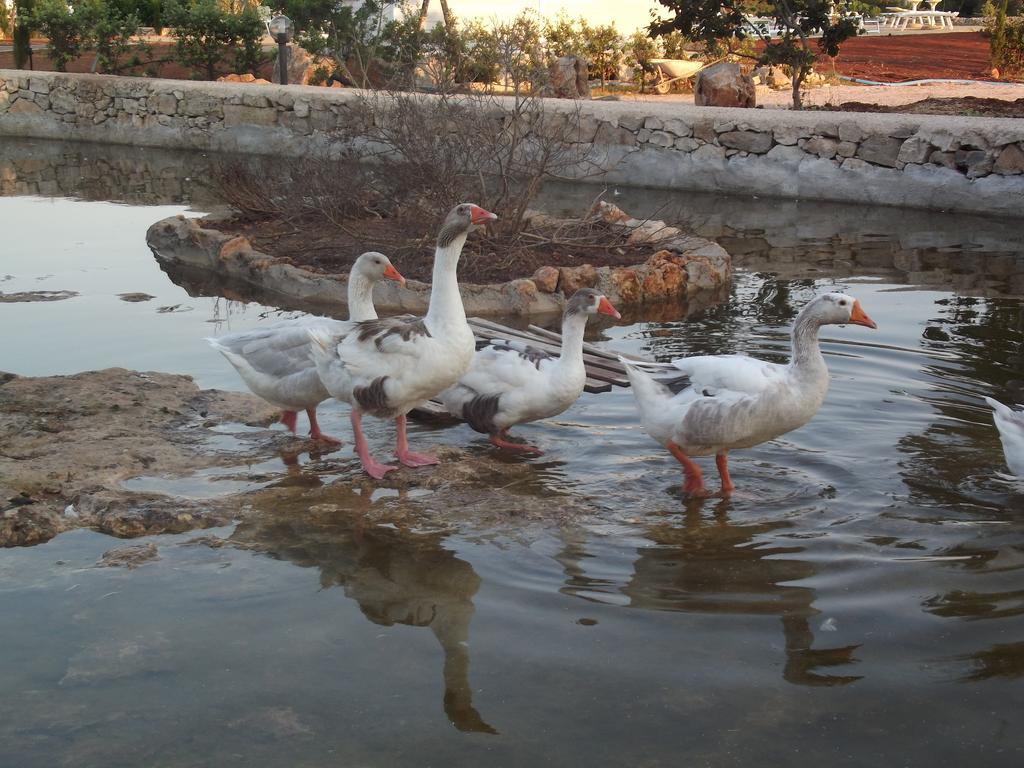 Zio Zac Alloggio per agriturismo