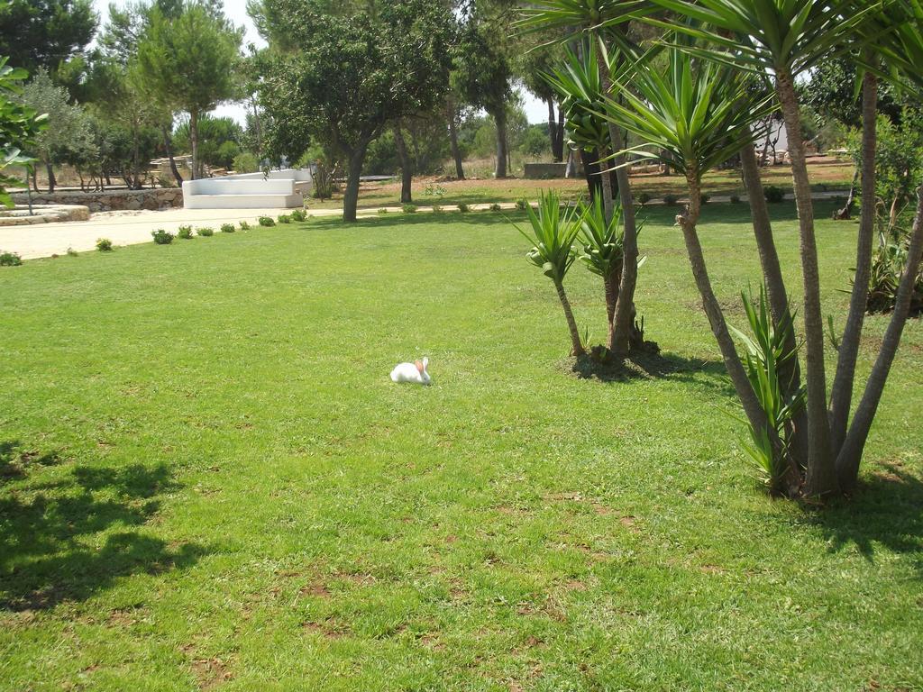 Zio Zac Alloggio per agriturismo *
